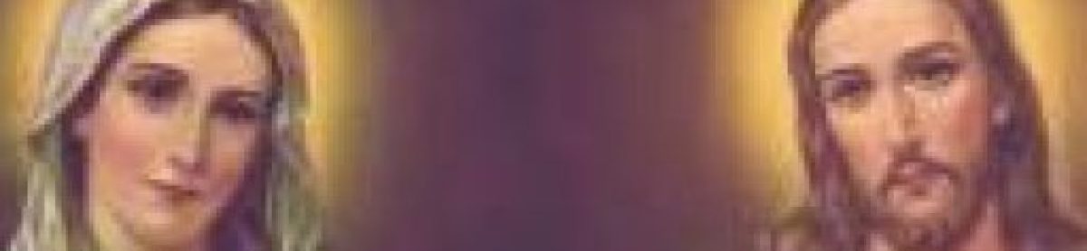 Mesocracia Marcelo Beloto